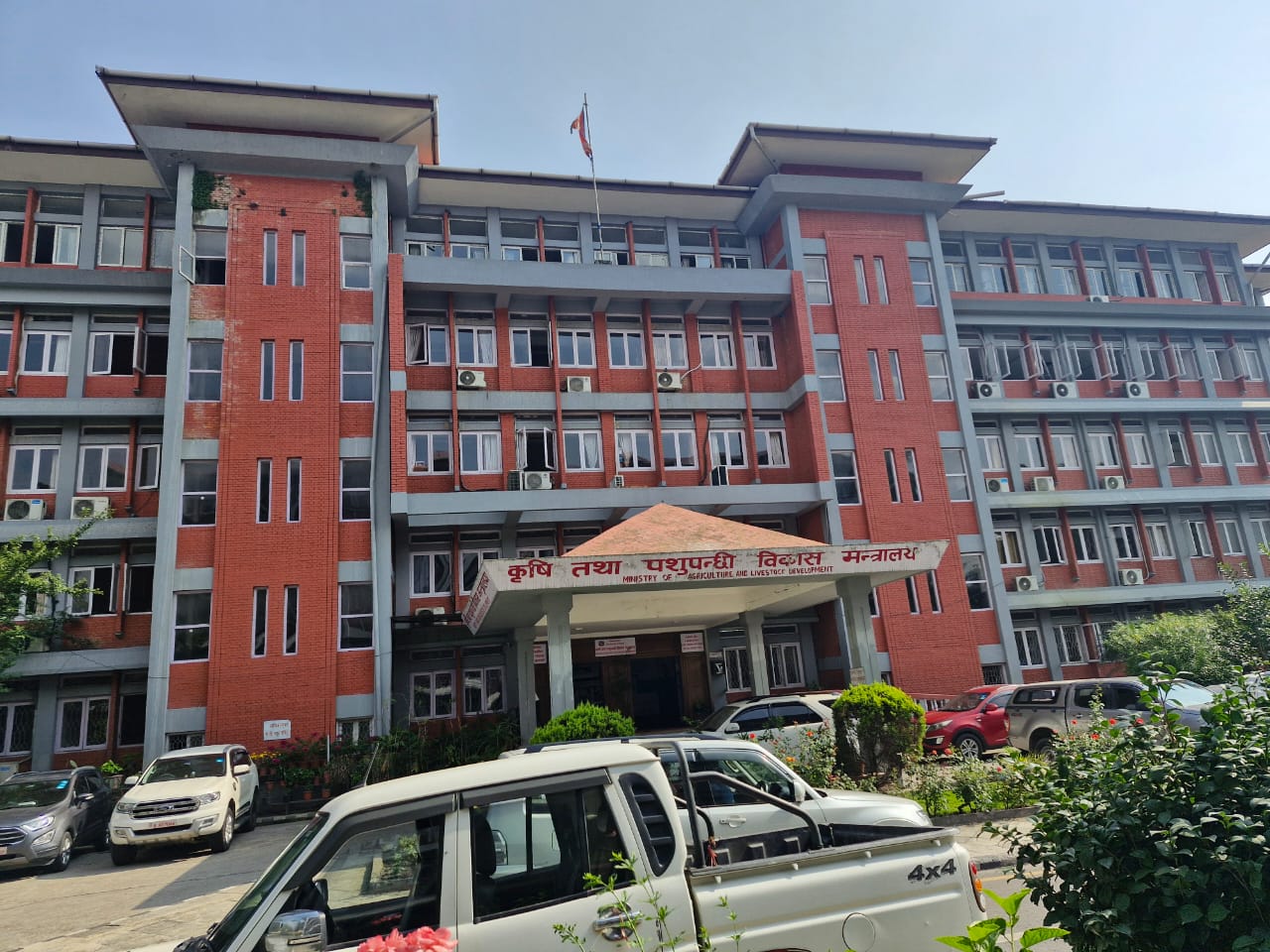 लम्पी स्किन र अफ्रिकन स्वाइन फ्लु नियन्त्रणका लागि: तीन तहको समन्वयमा विशेषज्ञ टोली परिचालन